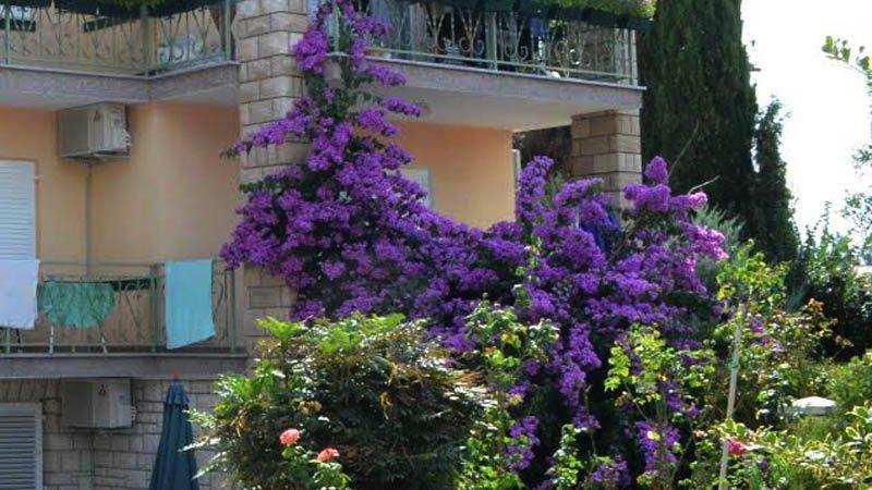 Villa Bencun Medulin Kültér fotó